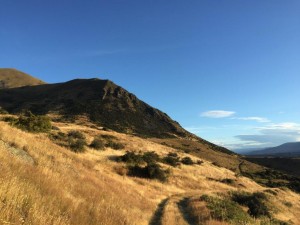 Greta Stream, Lake Ohau