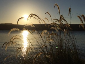 Lake Alexandrina