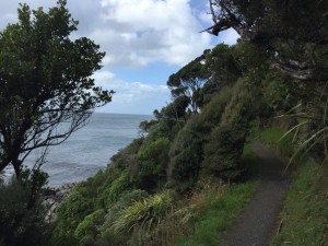 Stewart Island