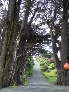 Ackers Point, Stewart Island