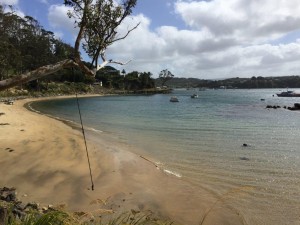 Stewart Island