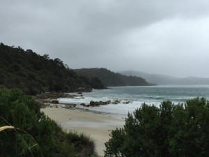 Stewart Island
