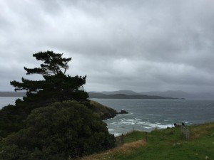 Stewart Island