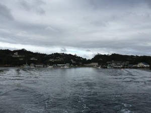 Stewart Island