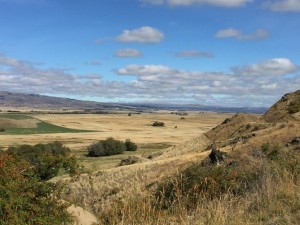 Central Otago Rail Trail