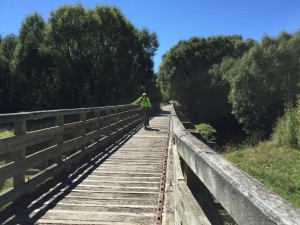 Central Otago Rail Trail