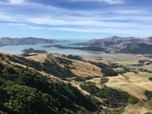 Banks Peninsula near Christchurch