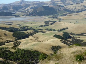 Banks Peninsula near Christchurch