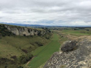 Totara Valley