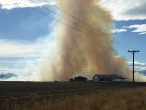 Paddock burning