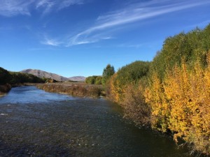 Tekapo River 