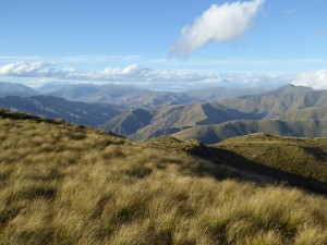 Picture Book New Zealand