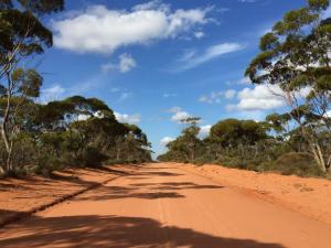 The Outback