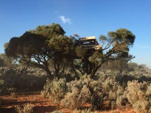 The Outback