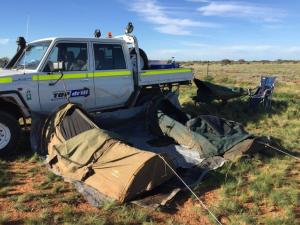 "Swagging" @ Nullarbor Muster