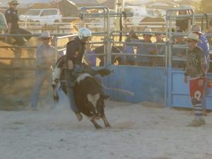 Rodeo, Nullarbor Muster