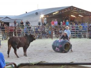 Rodeo, Nullarbor Muster