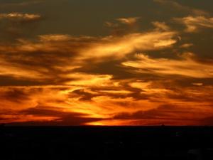 Nullarbor Muster