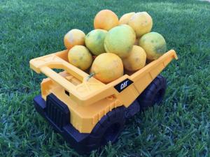 Homegrown load