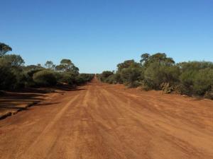 Goongarrie NP