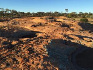 Goongarrie NP