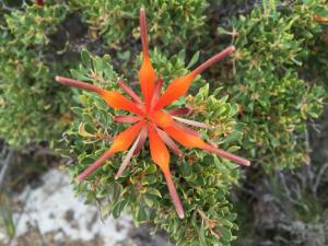 Cape Le Grand NP