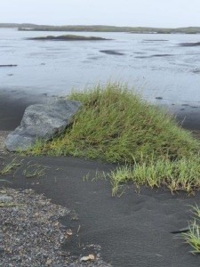 Stokksnes  