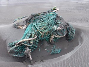 Stokksnes  