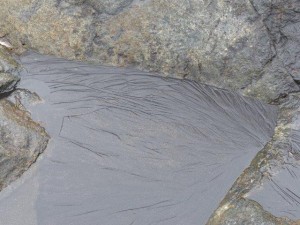 Stokksnes  
