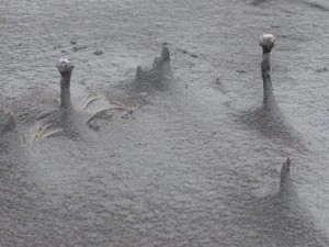 Stokksnes  