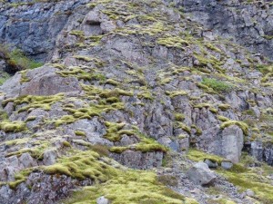 Skalafell   