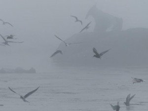 Jökulsarlon