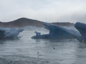 Jökulsarlon