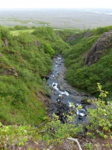 Svartifoss  