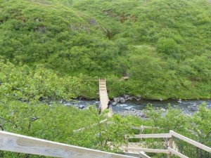 Svartifoss  