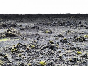 Lava & Moss    