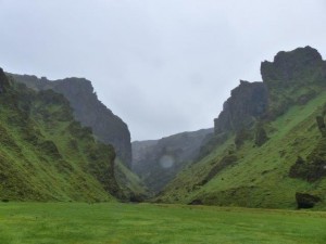 Pakgil   