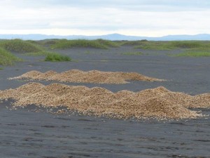 Special dunes 