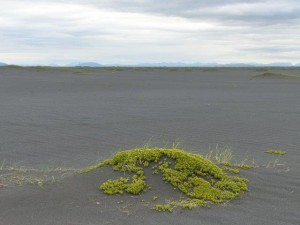 Pykkvabaejarfjara 