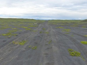Pykkvabaejarfjara 