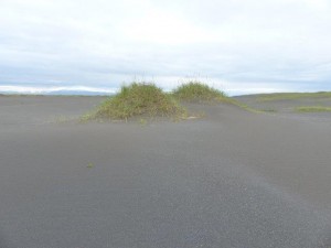 Pykkvabaejarfjara 