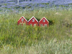 Elves house    