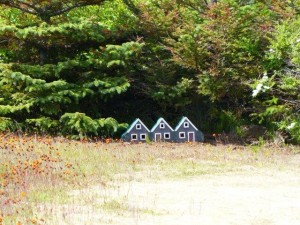 Elves House  