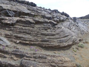 Lava at Hafnaberg Birdcliff