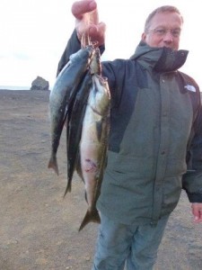 Kap Reykjanesviti  
