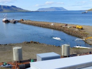 Whaling station Midsandur    