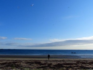 West Iceland, Myrar    