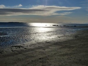 West Iceland, Myrar    