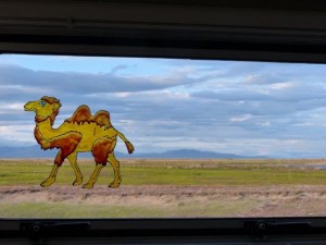 Room with a view    