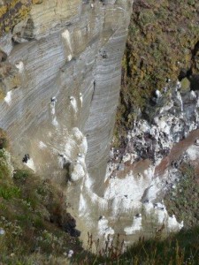 Svalpufa-Pufubjarg   